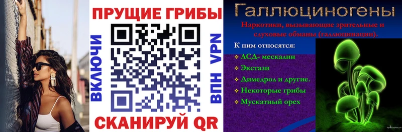 Купить Ростов Галлюциногенные грибы мухоморы